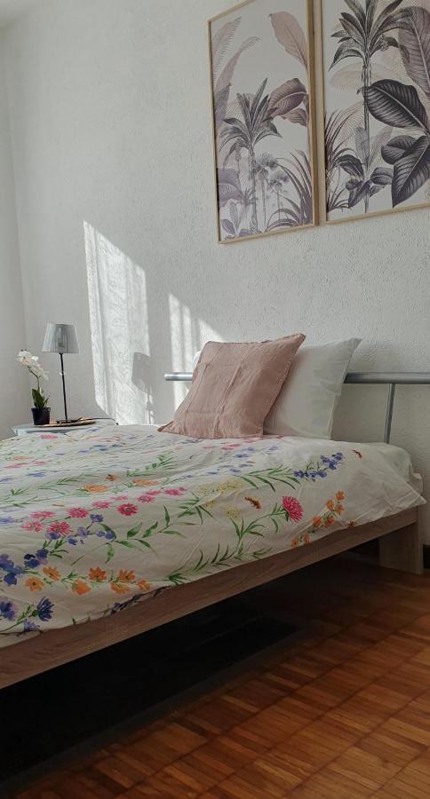 Charming Penthouse Near Como Lake Кьяссо Экстерьер фото